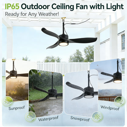 42" Matte Black Outdoor Ceiling Fan with LED Light - view 12