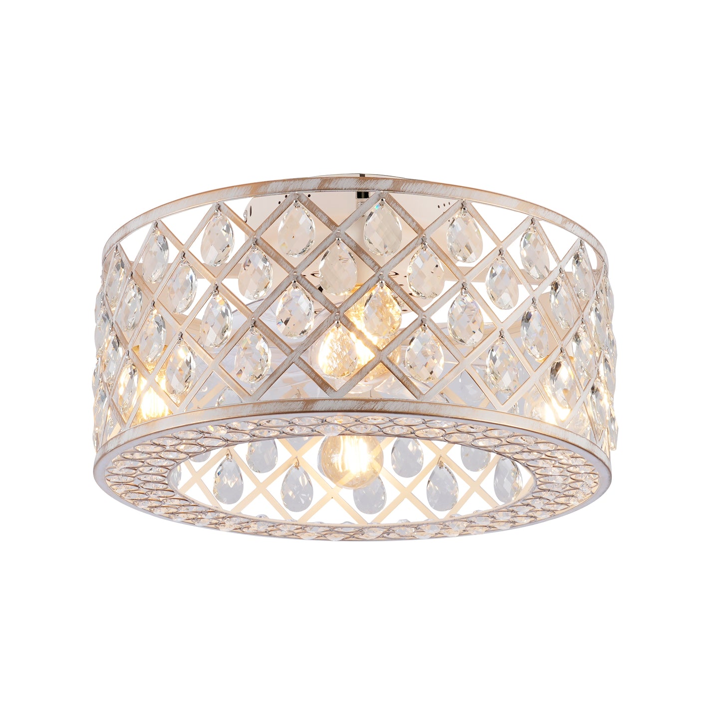 Modern Ceiling Fan Light