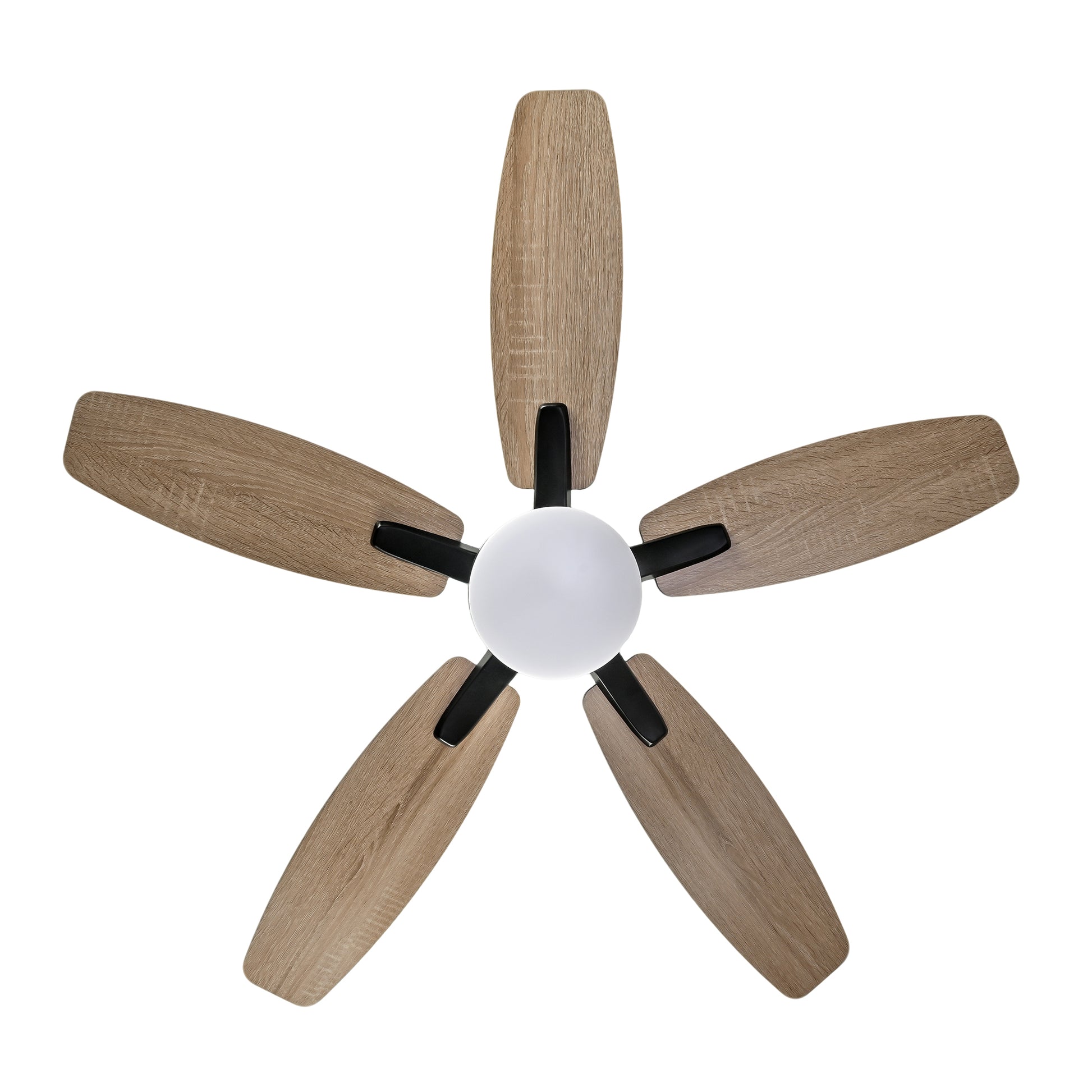 42" Matte Black Plywood Blade Ceiling Fan with Remote - view 18