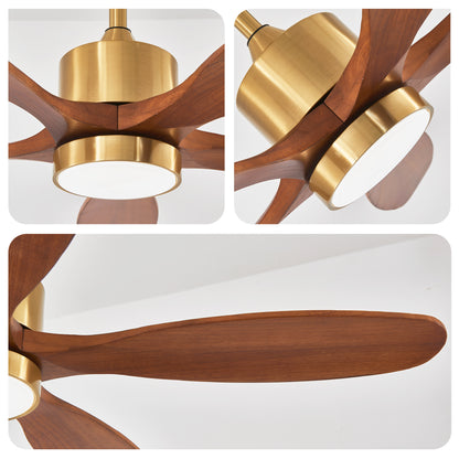 52" Gold Reversible Ceiling Fan with Light - view 15