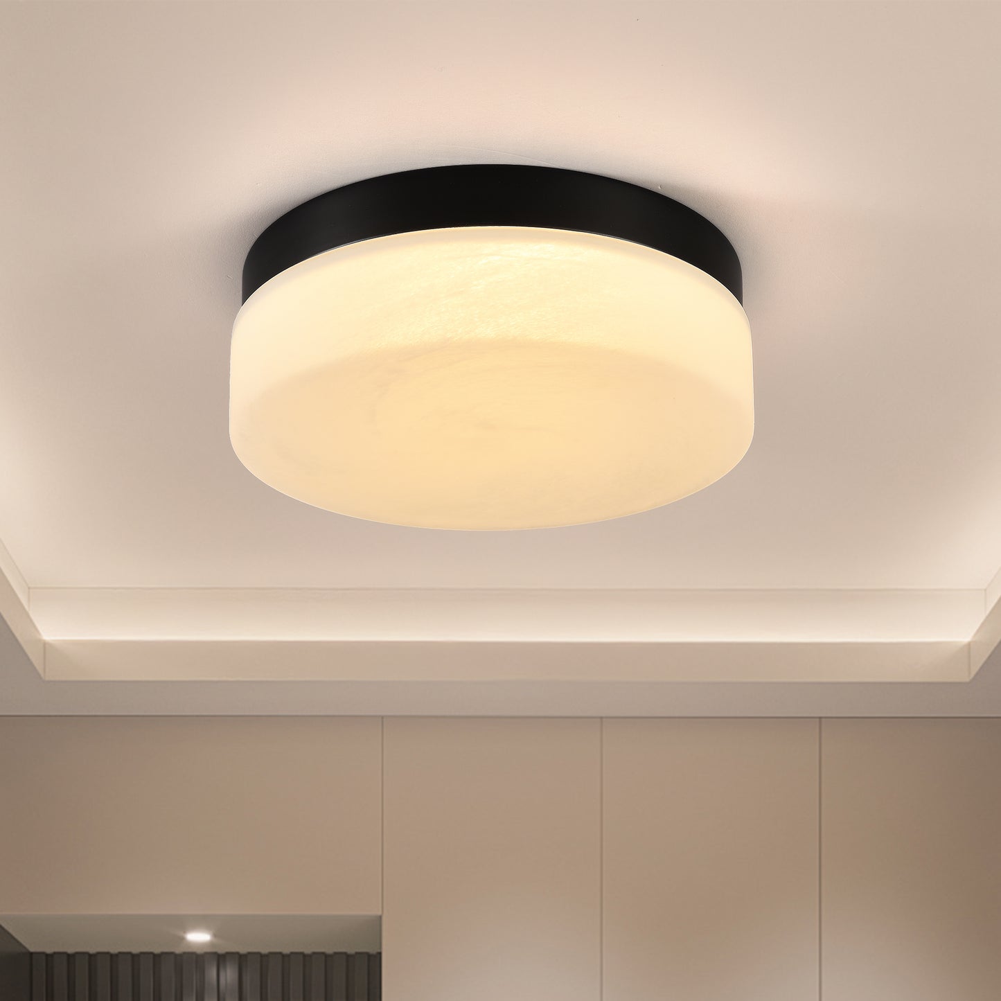 12" Black Round LED Flush Mount Ceiling Light