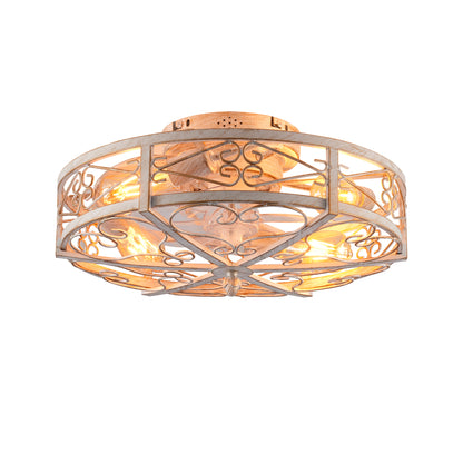 Ceiling Fan Light