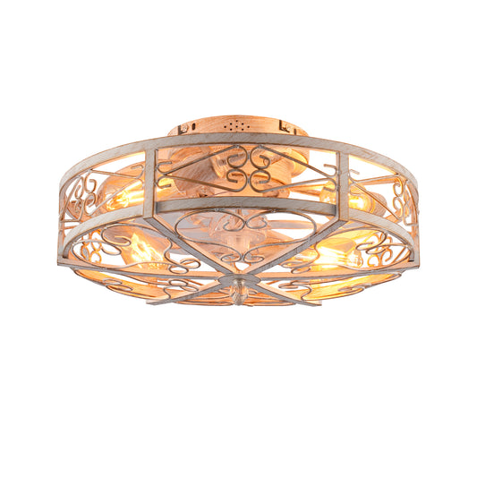 Ceiling Fan Light