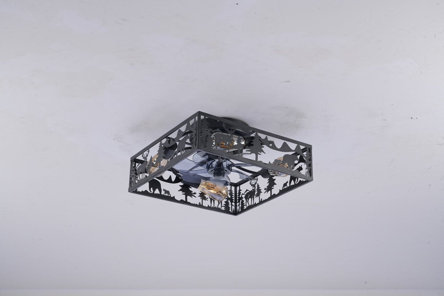 24840952