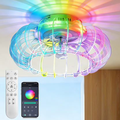 Acrylic Caged Ceiling Fan
