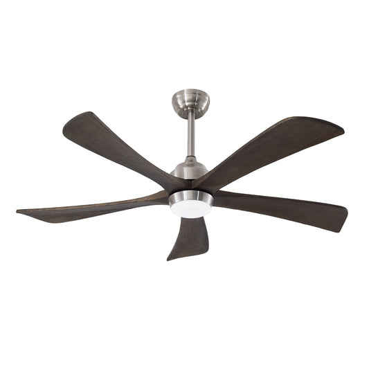 Nickel Acrylic Fan Light