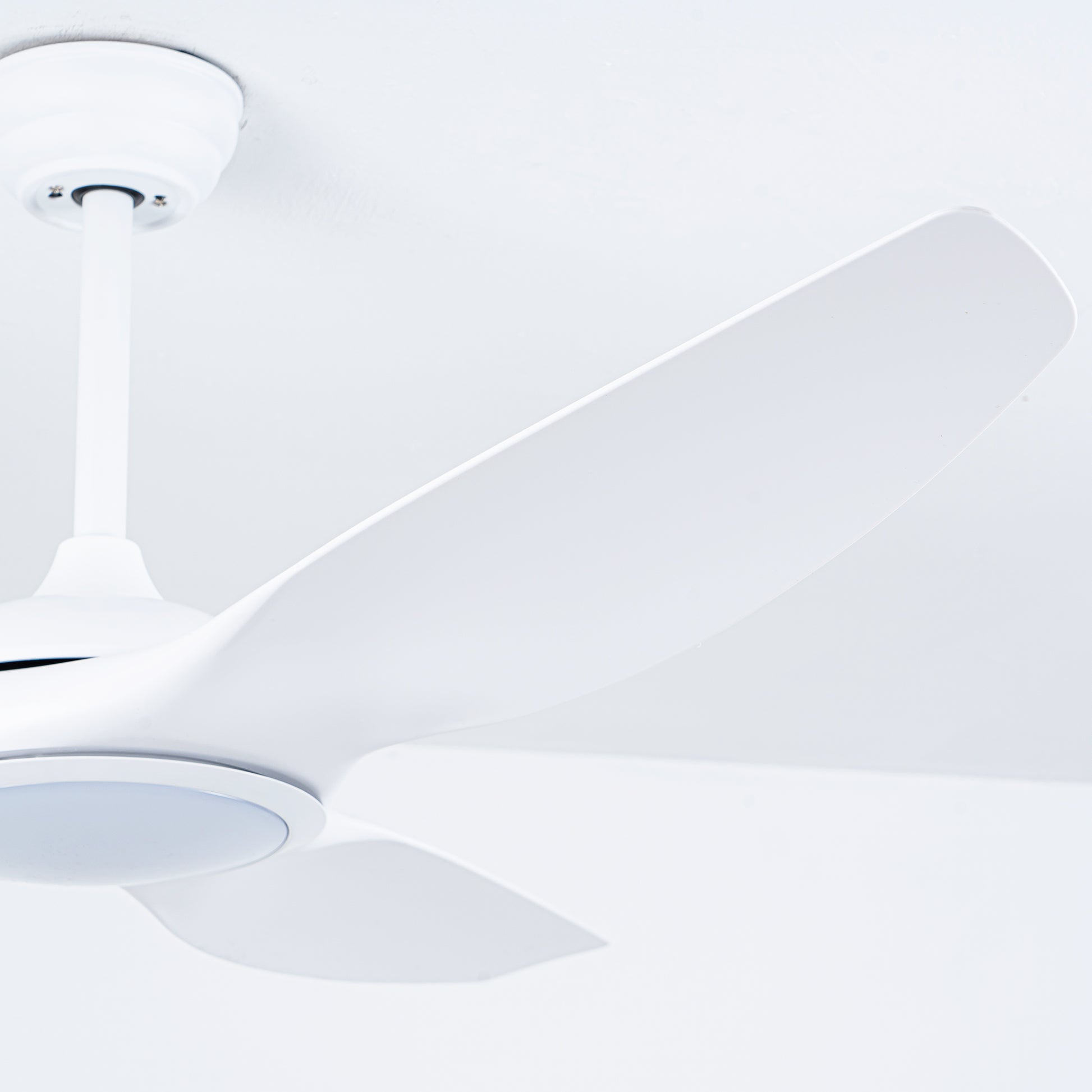 52" Matte White Ceiling Fan with LED Light & Remote - view 16
