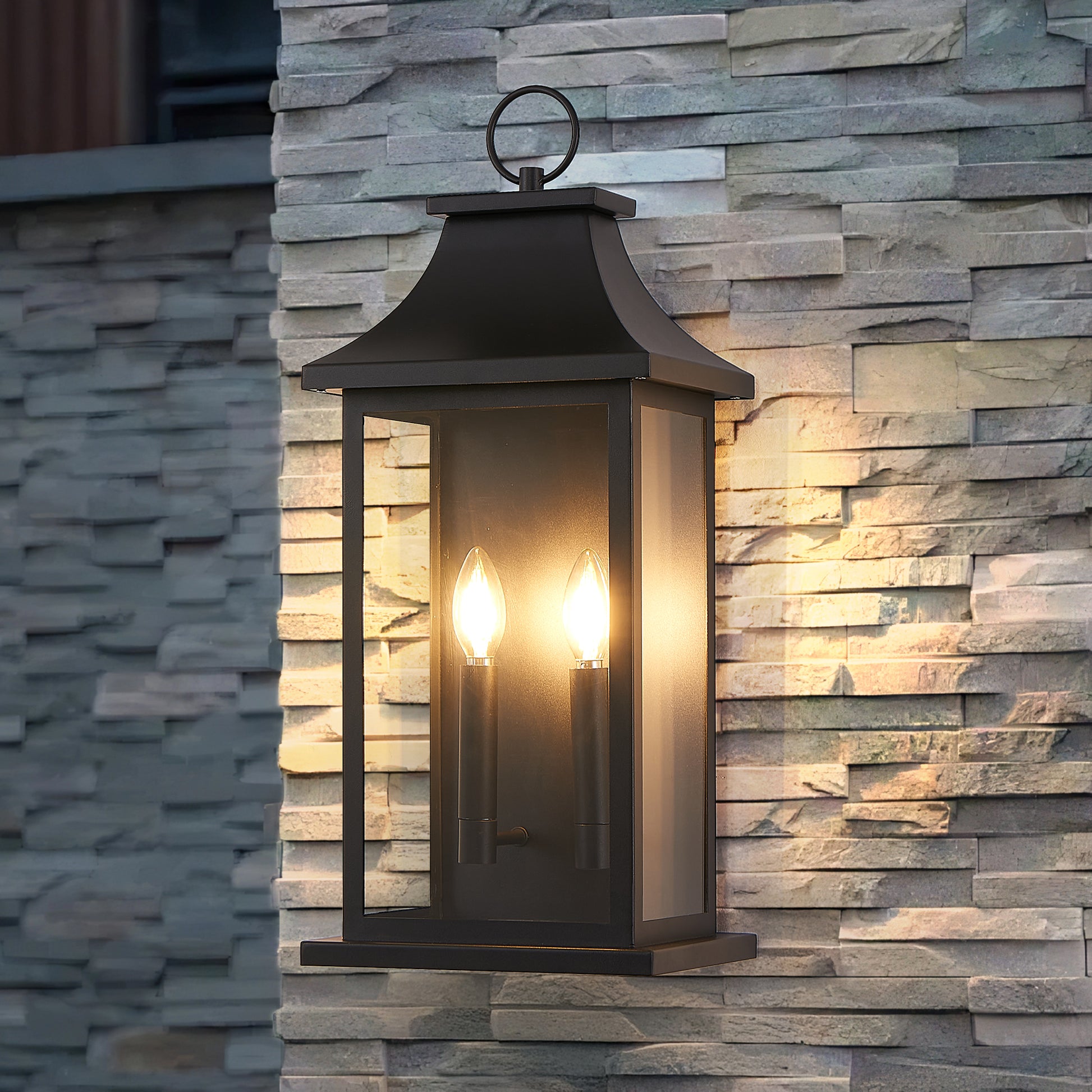 22" Black 2-Light Outdoor Wall Light with Glass