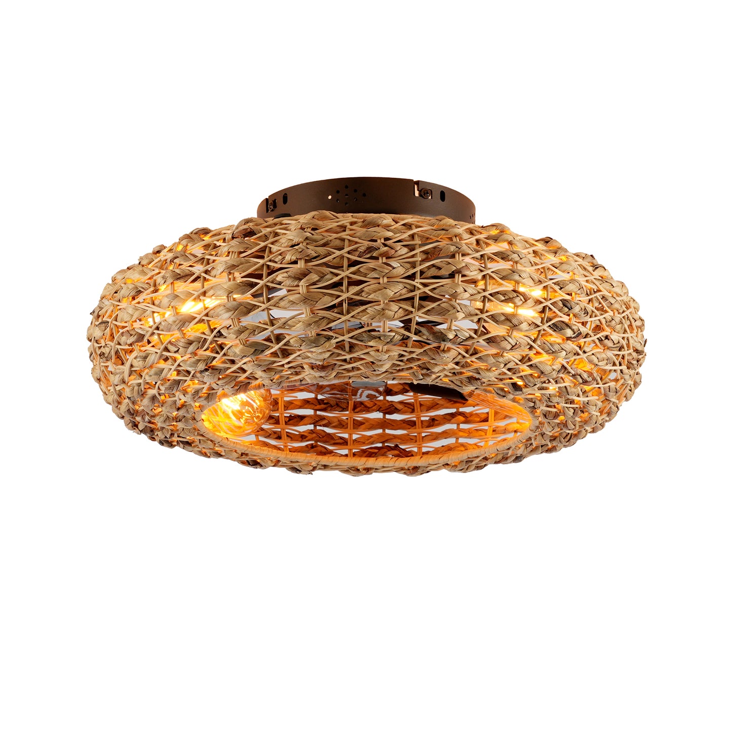 Matte Black Rope Fan Light