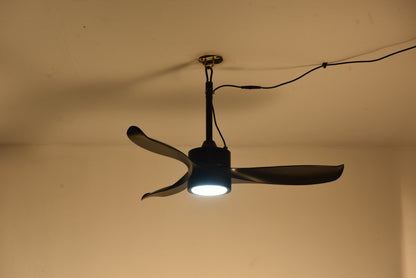 42" Matte Black Outdoor Ceiling Fan with LED Light - view 16