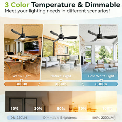 42" Matte Black Outdoor Ceiling Fan with LED Light - view 10