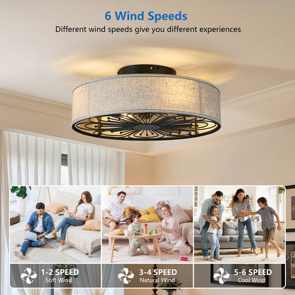 20" Black Caged Farmhouse Ceiling Fan with Remote - view 4
