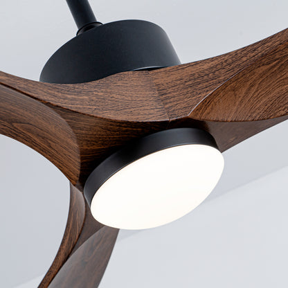 60" Matte Black Ceiling Fan with LED Light - view 19