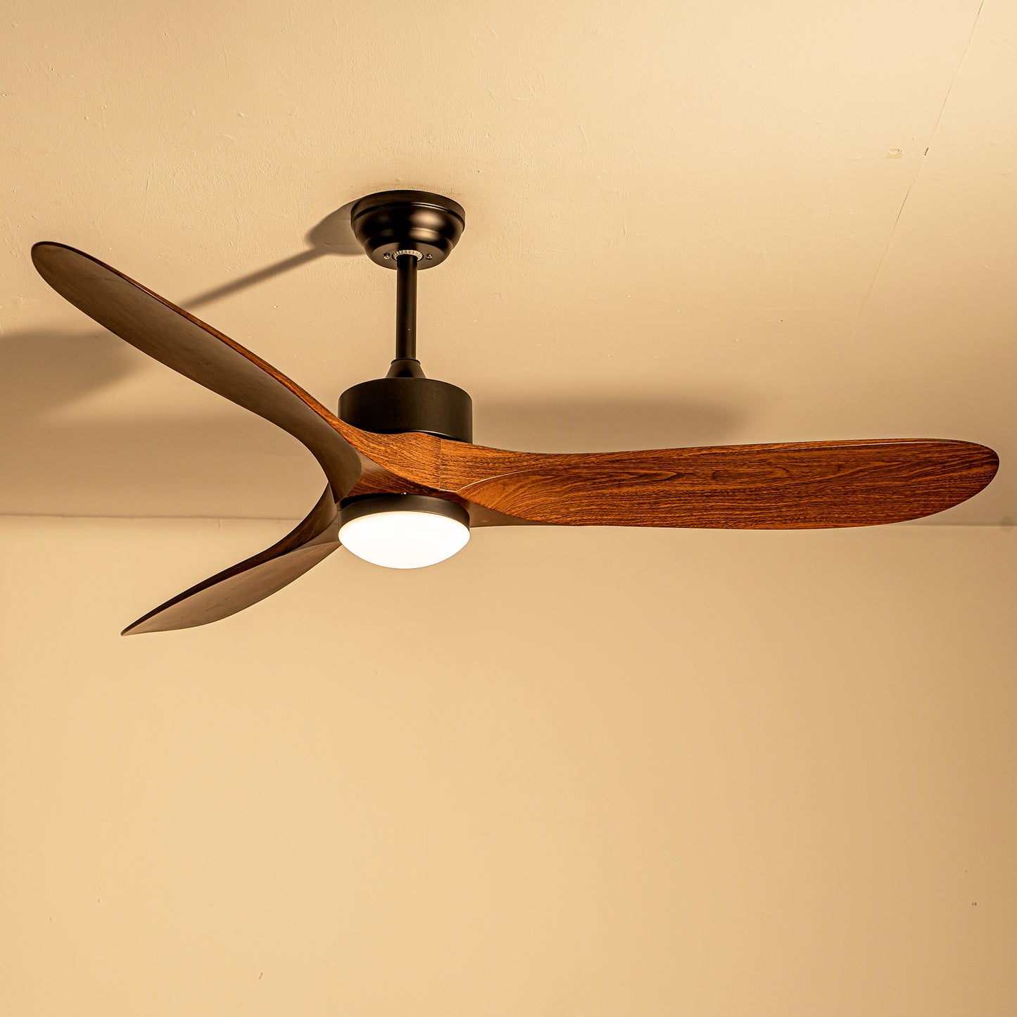 60" Matte Black Ceiling Fan with LED Light - view 20