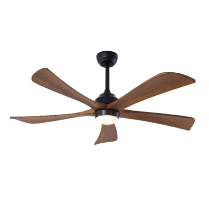 Acrylic Ceiling Fan Light