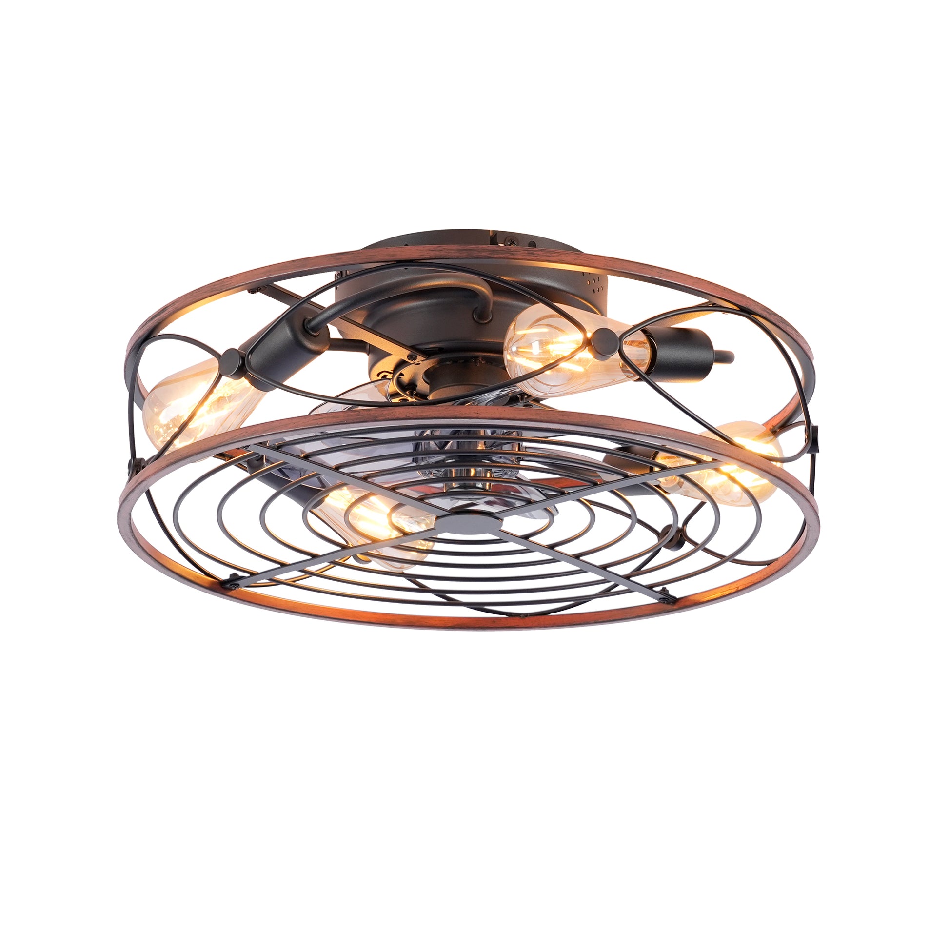 20" Matte Black Caged Ceiling Fan with Remote
