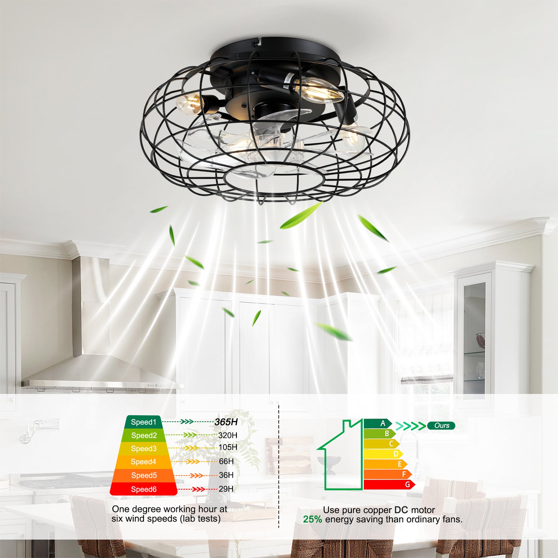 24841425