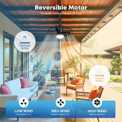 20" Caged Outdoor Ceiling Fan with Light and Remote