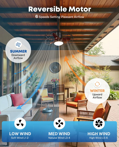 20" Caged Outdoor Ceiling Fan with Light and Remote